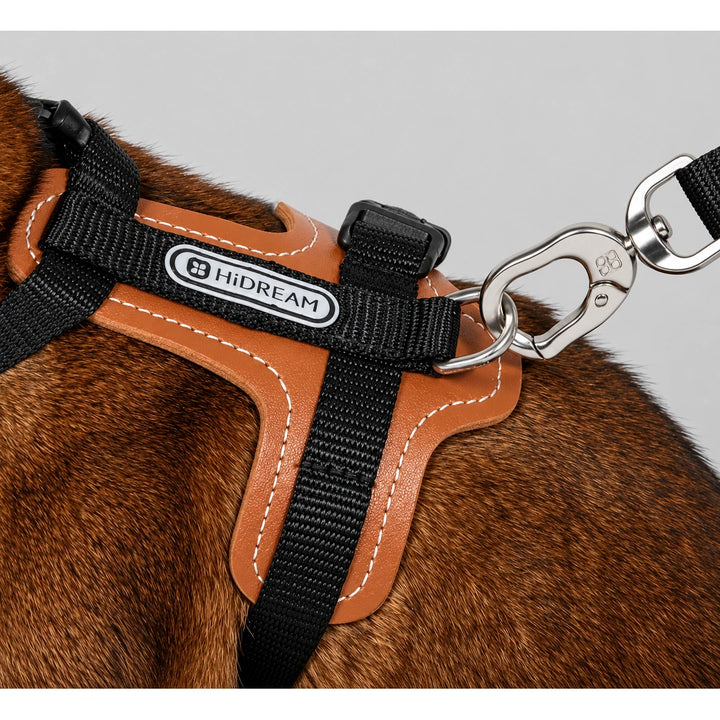 HiDream Leather Series kattsele - Närbild av svart sele med bruna detaljer och metallhake - Djurslottet