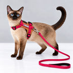 HiDream Leather Series kattsele - Siameskatt med rosa sele och koppel - Djurslottet