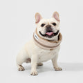HiDream Kylhalsband Hund Justerbar design - Djurslottet