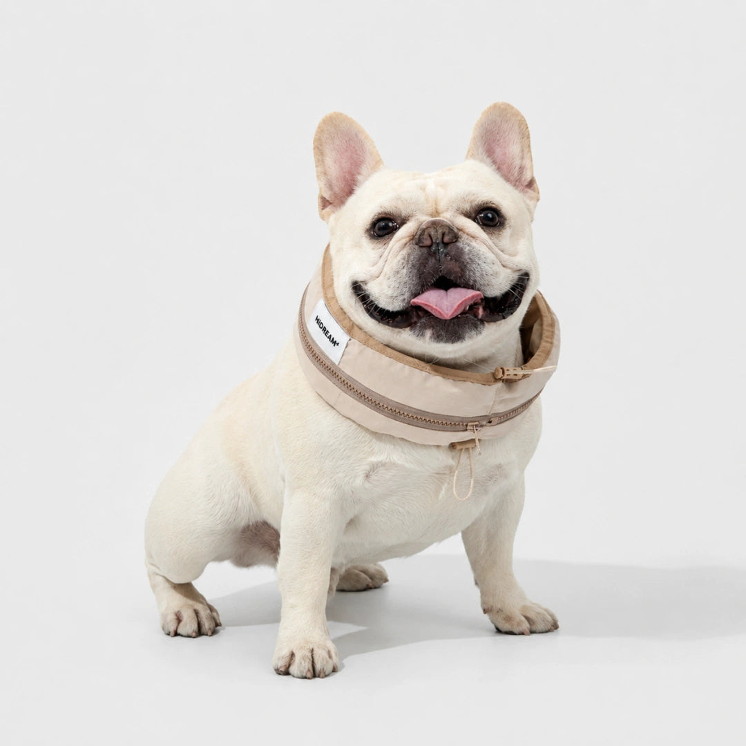 HiDream Kylhalsband Hund Justerbar design - Djurslottet