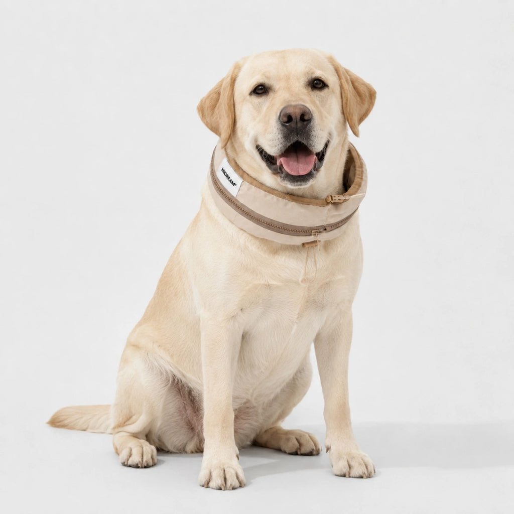 HiDream Kylhalsband Hund Svalkande stöd - Djurslottet