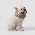 HiDream Kylhalsband Hund grön - Djurslottet