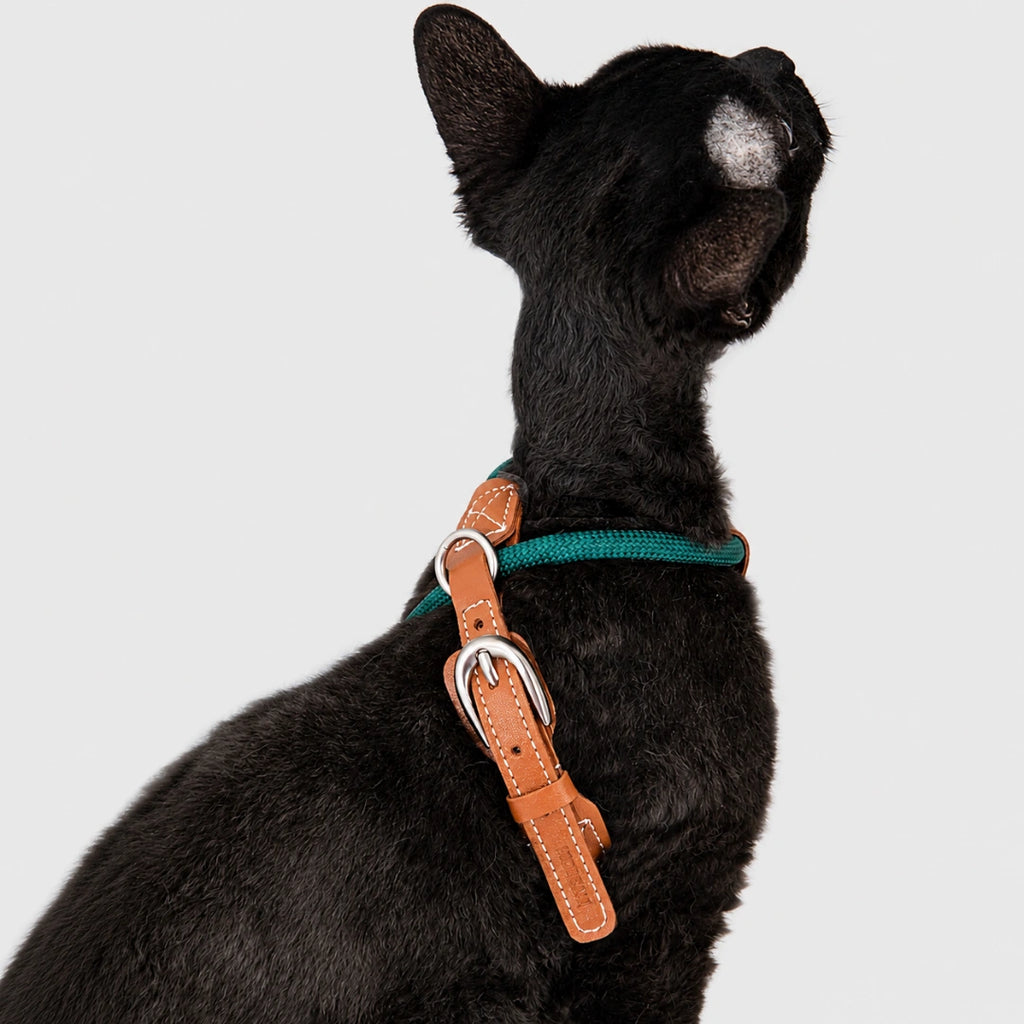 HiDream X-form kattsele katt utomhus trygg promenad - Djurslottet