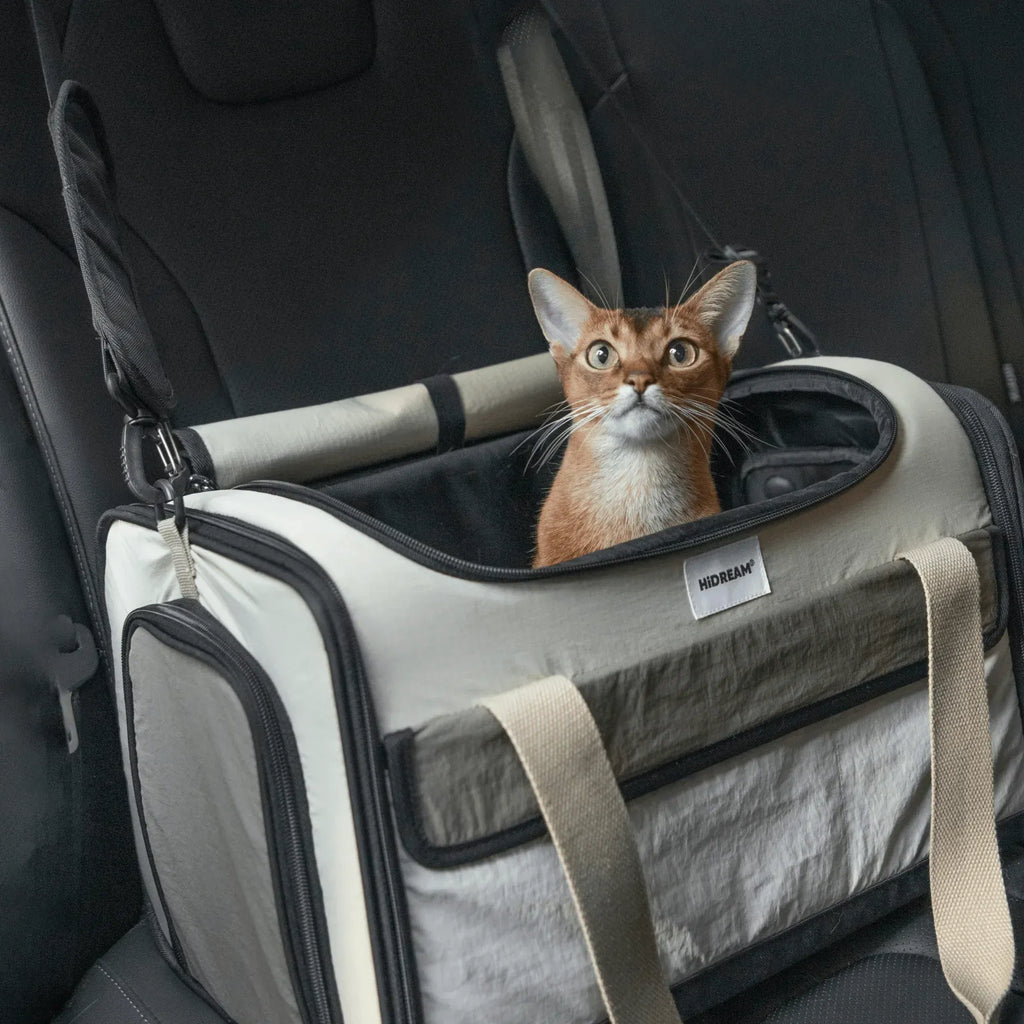 HiDream flyggodkänd transportväska i bil
