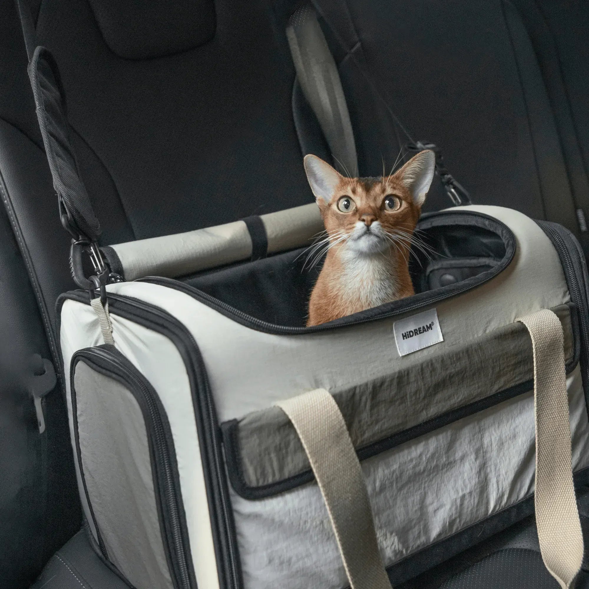 HiDream flyggodkänd transportväska i bil