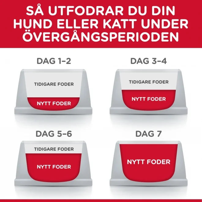 Specialformulerat foder för vuxna katter med känslig mage och hud, med kyckling för bättre näringsupptag.
