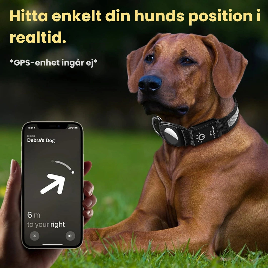 Hitta enkelt din hunds Lysande Airtag halsband För hundar - Djurslottet