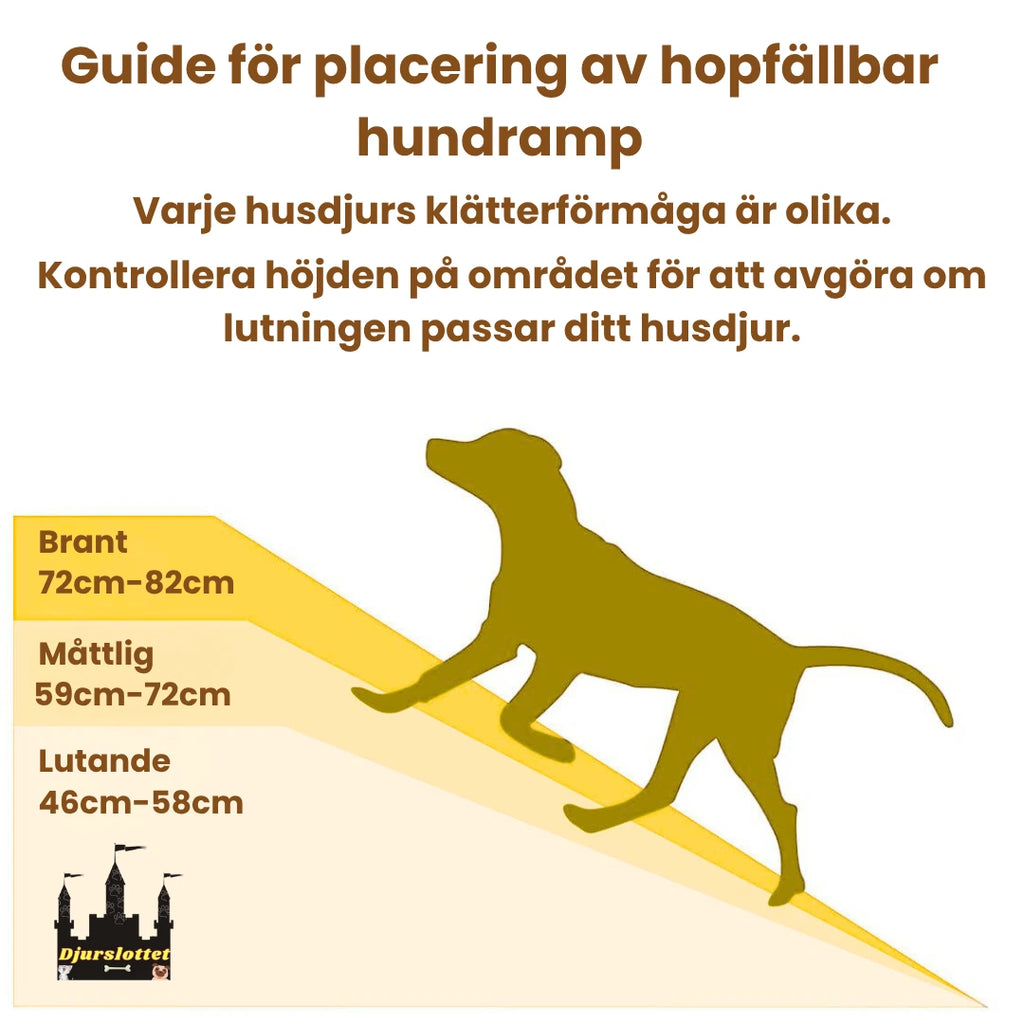 Hopfällbar hundramp för bil Guide för placering av vikbar hundramp - Djurslottet