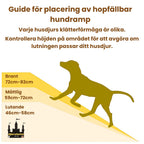 Hopfällbar hundramp för bil Guide för placering av vikbar hundramp - Djurslottet