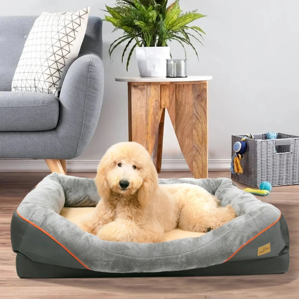 Hundar är superbekväma - Djurstlottet