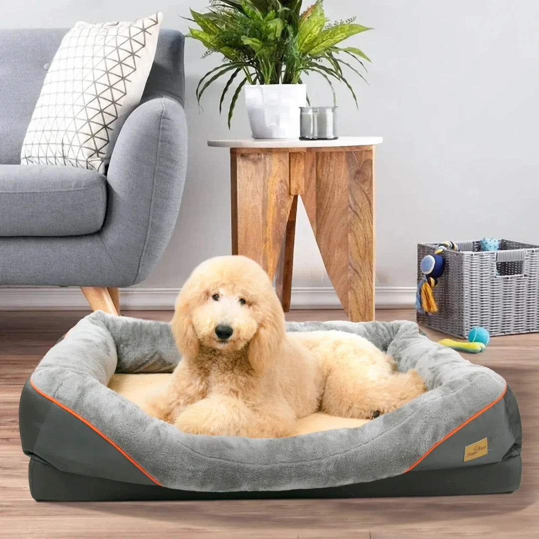 Hundar är superbekväma - Djurstlottet