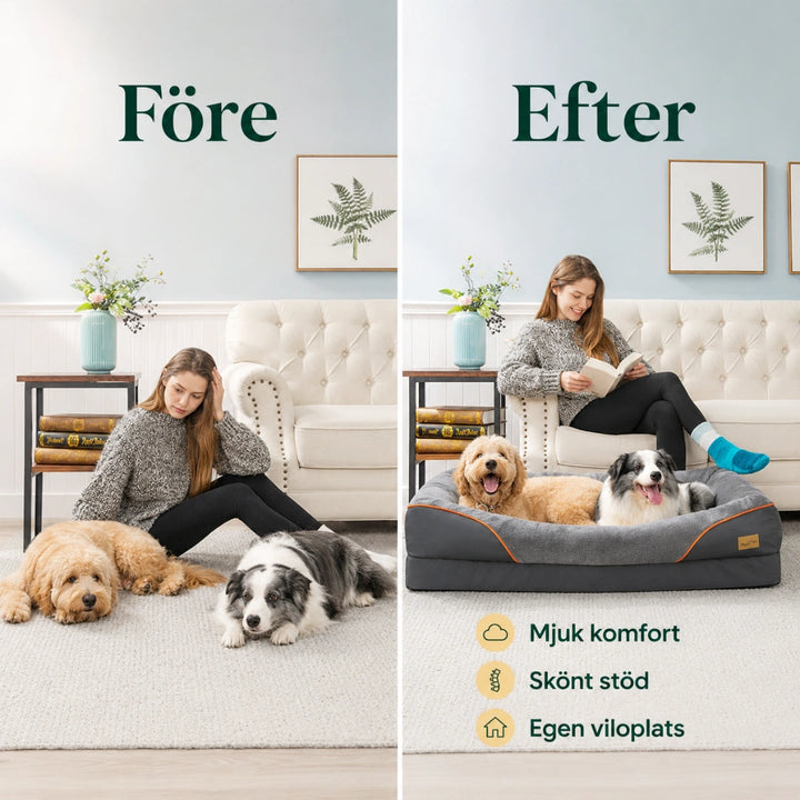 Hundbädd Ortopedisk med Kant efter - Djurslottet