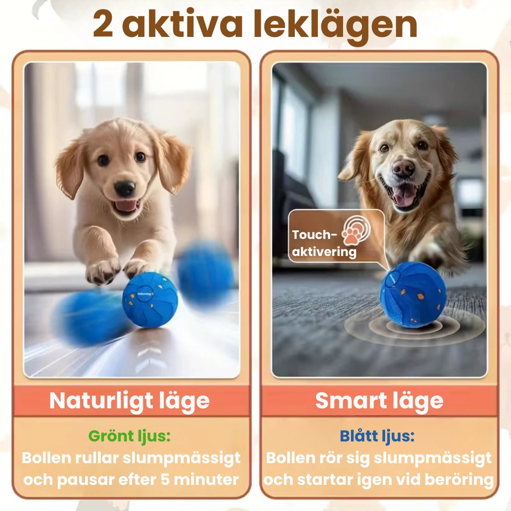 Hundboll 2 aktiva leklägen - Djurslottet