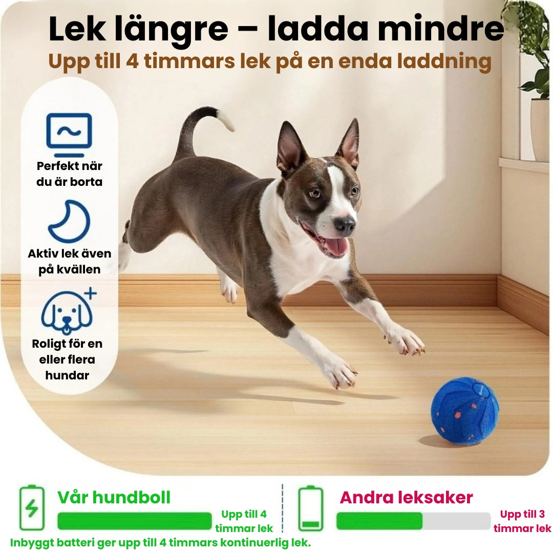 Hundboll Lek längre – ladda mindre - Djurslottet