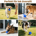 Hundboll Perfekt för lek överallt - Djurslottet