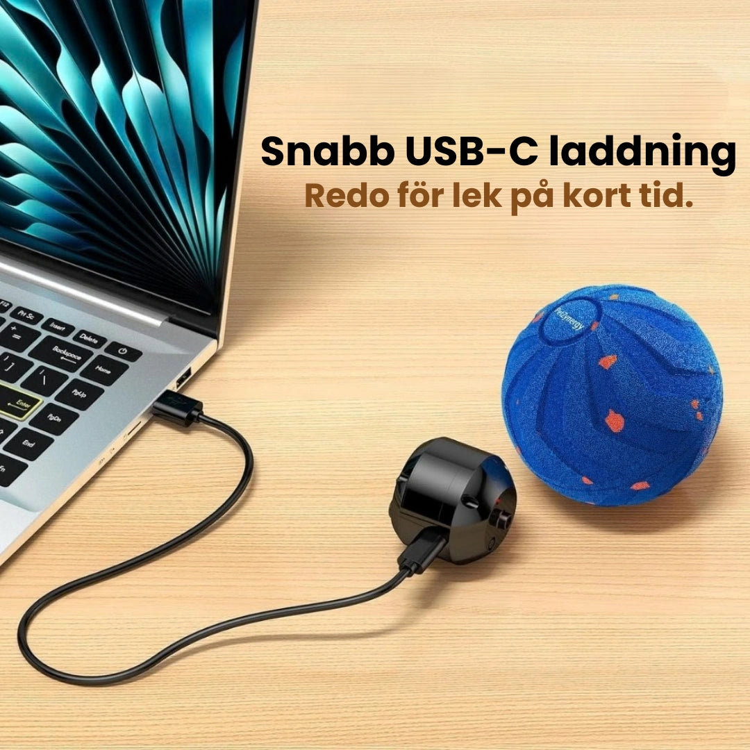 Hundboll Snabb USB-C laddning - Djurslottet