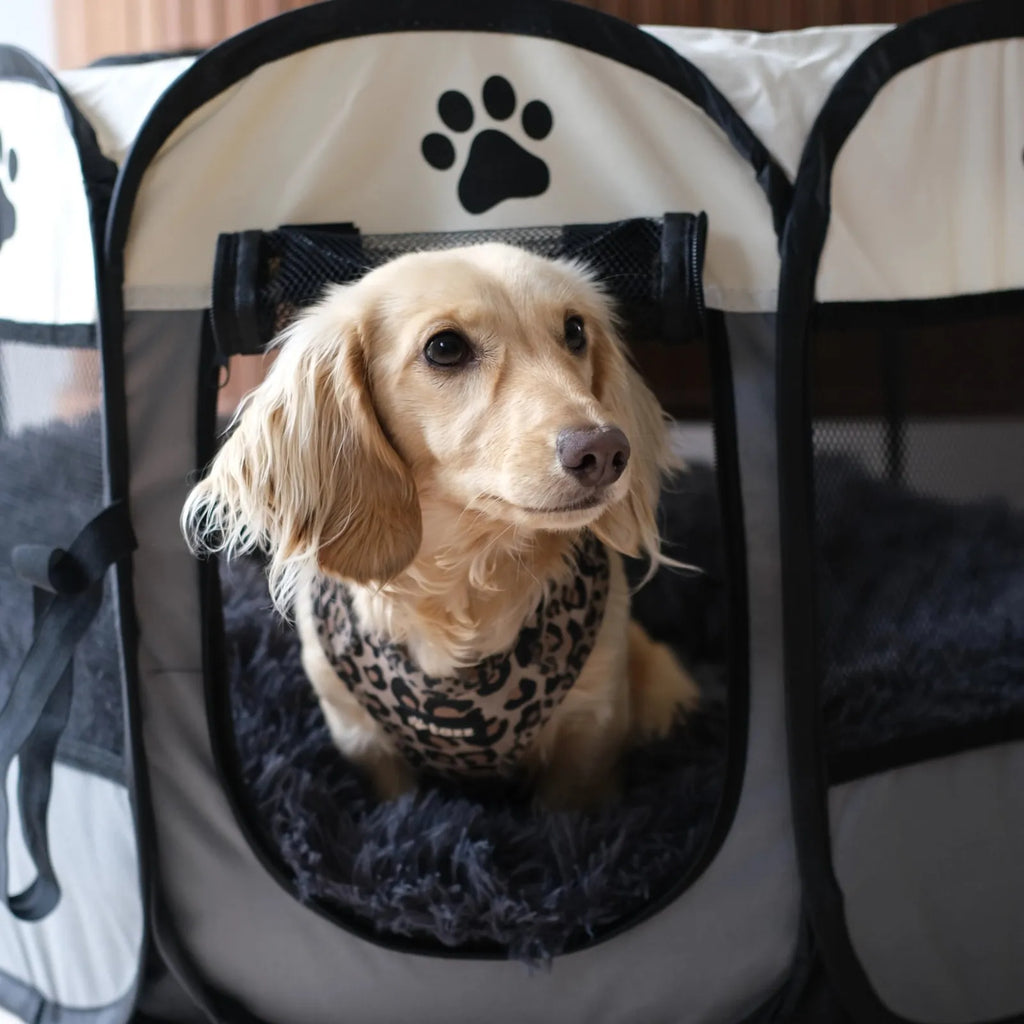 Furry Fiesta Lekhage - Djurslottet