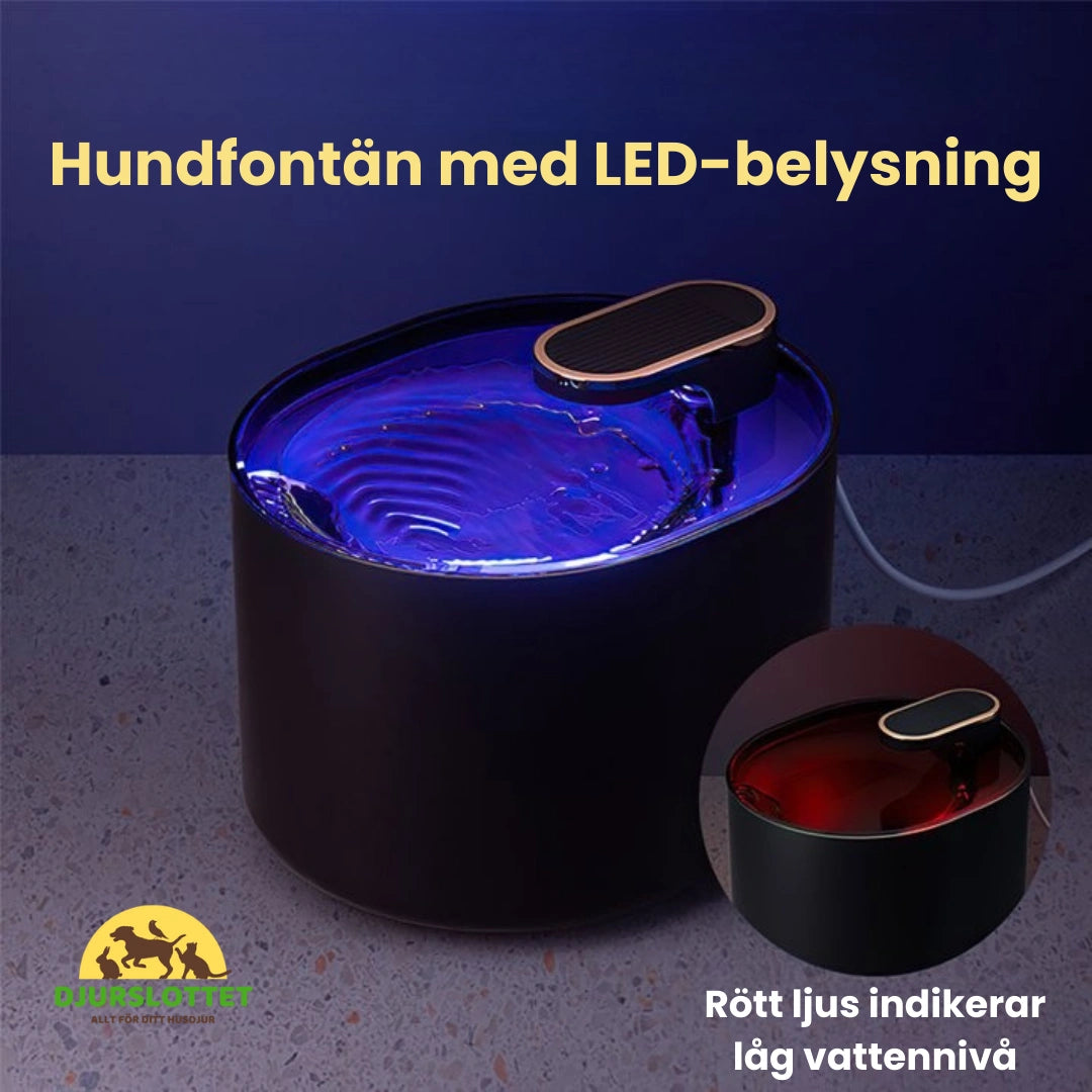 Hundfontän Hundfontän med LED-belysning - Djurslottet