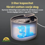 Hundfontän färskt vatten varje dag - Djurslottet