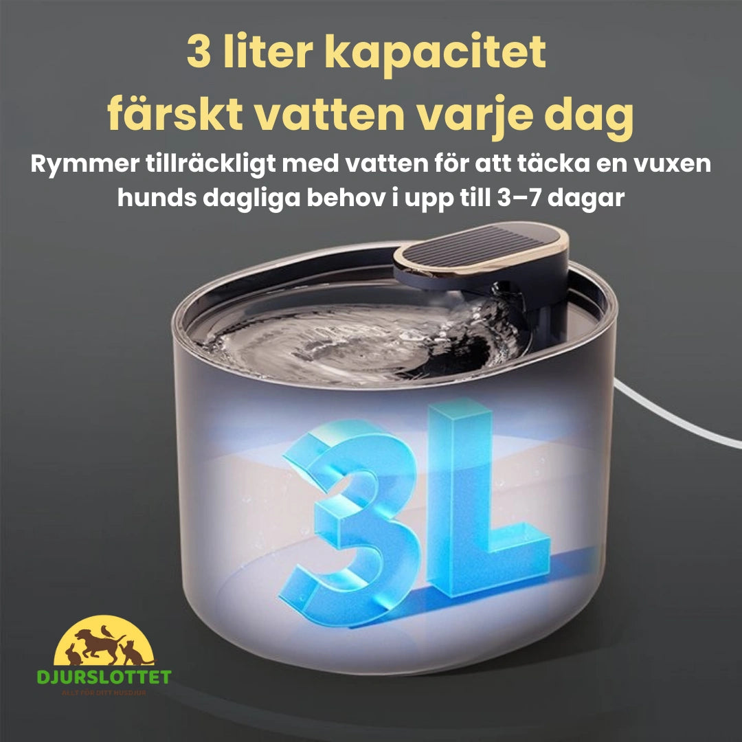 Hundfontän färskt vatten varje dag - Djurslottet