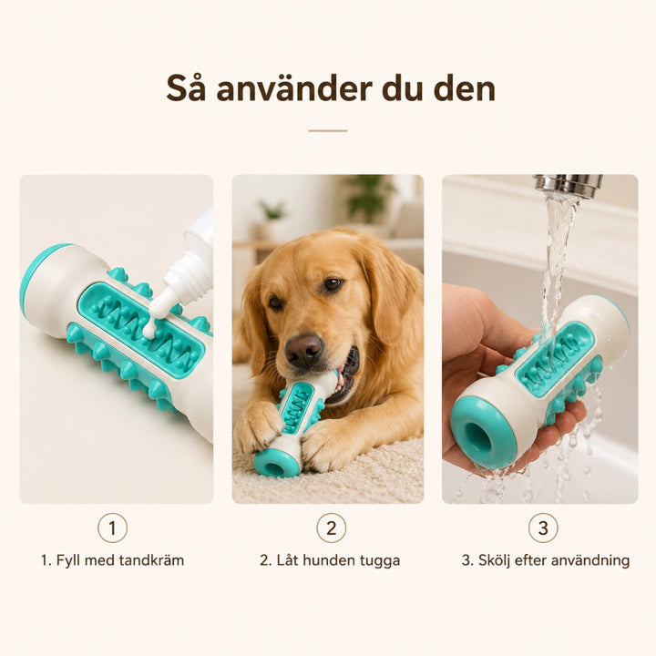 Hundgummi steg - Djurslottet