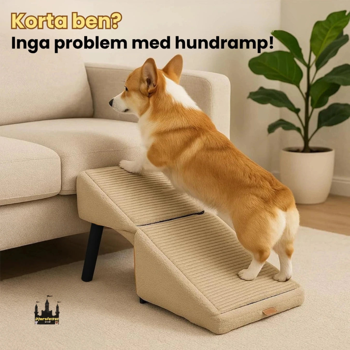 Hundramp Fällbar Korta ben? -Djurslottet