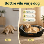 Hundsäng Ovalformad battre vila varje dag - Djurslottet