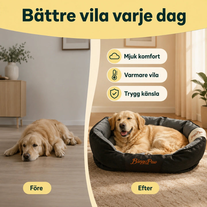 Hundsäng Ovalformad battre vila varje dag - Djurslottet