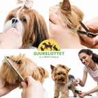 Hundsax se användning - Djurslottet