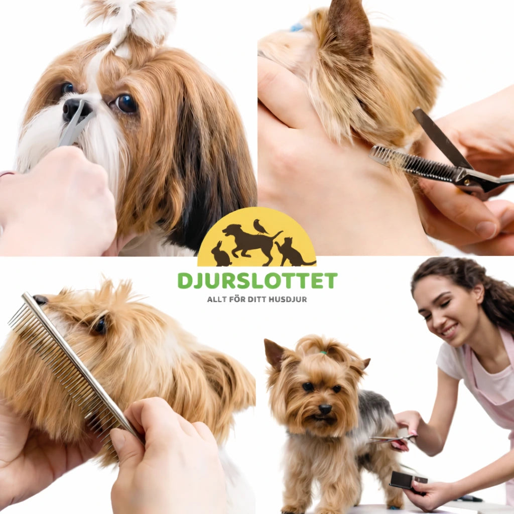 Hundsax se användning - Djurslottet