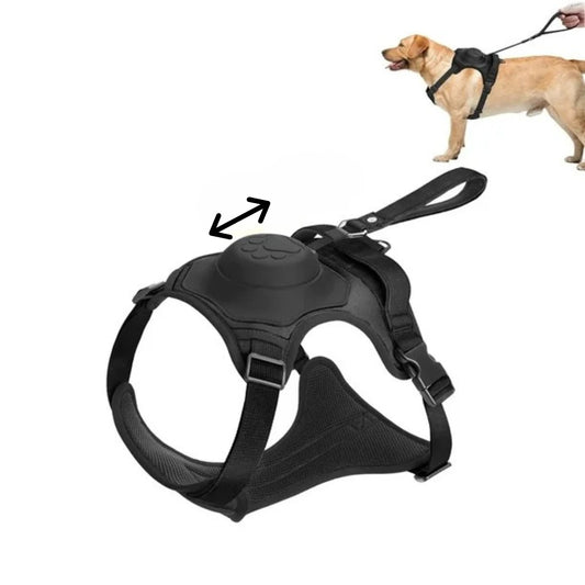 Hundsele med inbyggt flexikoppel - Djurslottet