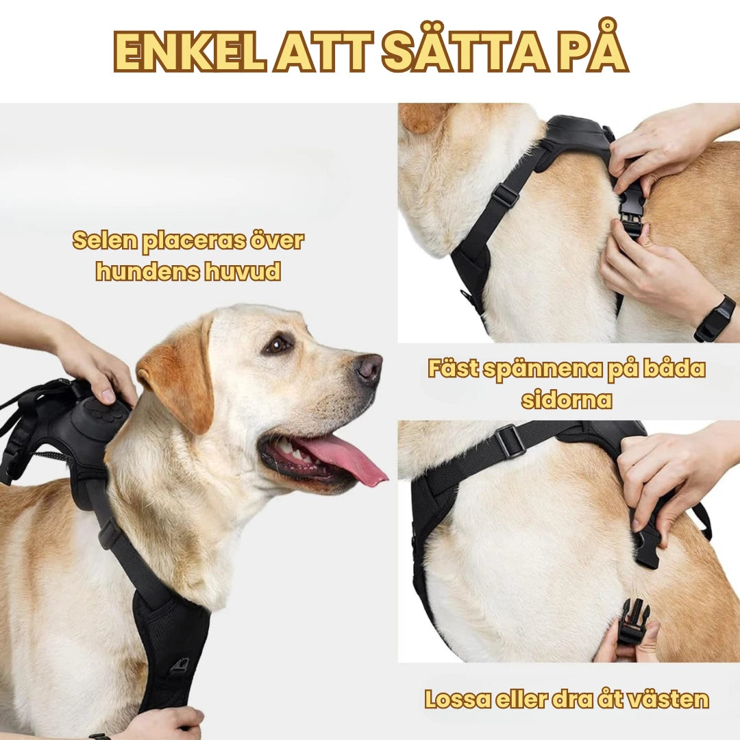 Hundsele med inbyggt flexikoppel Lätt att sätta på - Djurslottet
