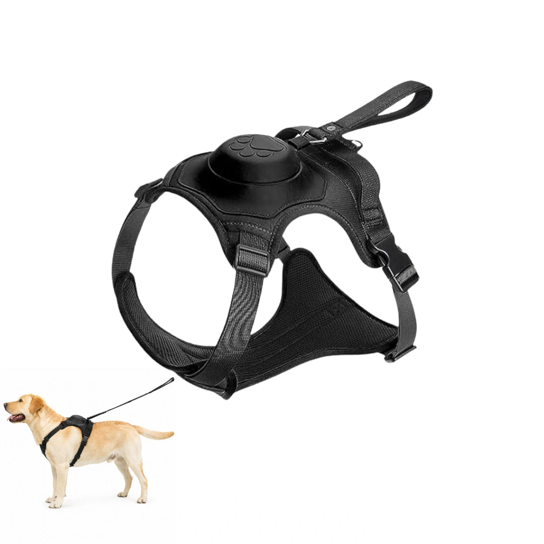Hundsele med inbyggt flexikoppel - Djurslottet