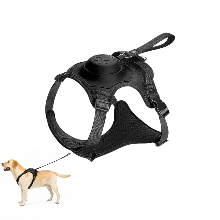 Hundsele med inbyggt flexikoppel - Djurslottet