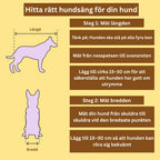 Hur man väljer rätt storlek för sitt husdjur - Djurslottet