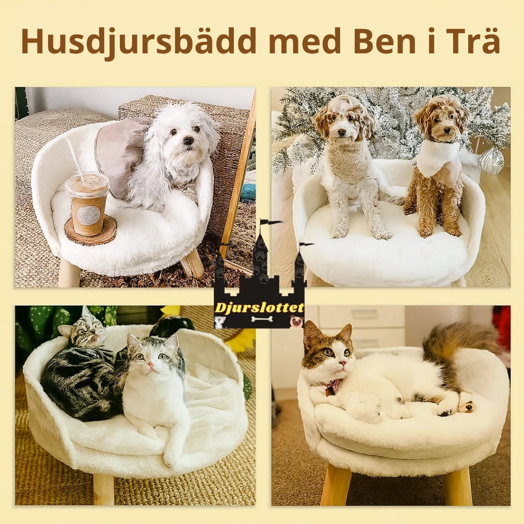 Husdjursbädd med Ben i Trä - Djurslottet