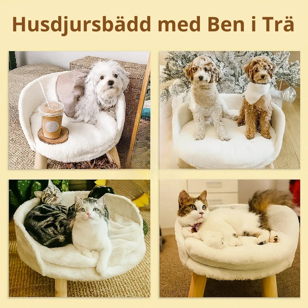 Husdjursbädd med Ben i Trä Djurslottet