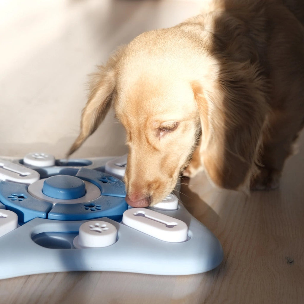 smartpaw - hundleksak