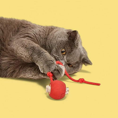 Interaktiv Kattleksak, 
Felineo Spinball, Felineo Spinball kattleksak