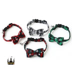 Julfluga till hund och katt Färg- Djurslottet