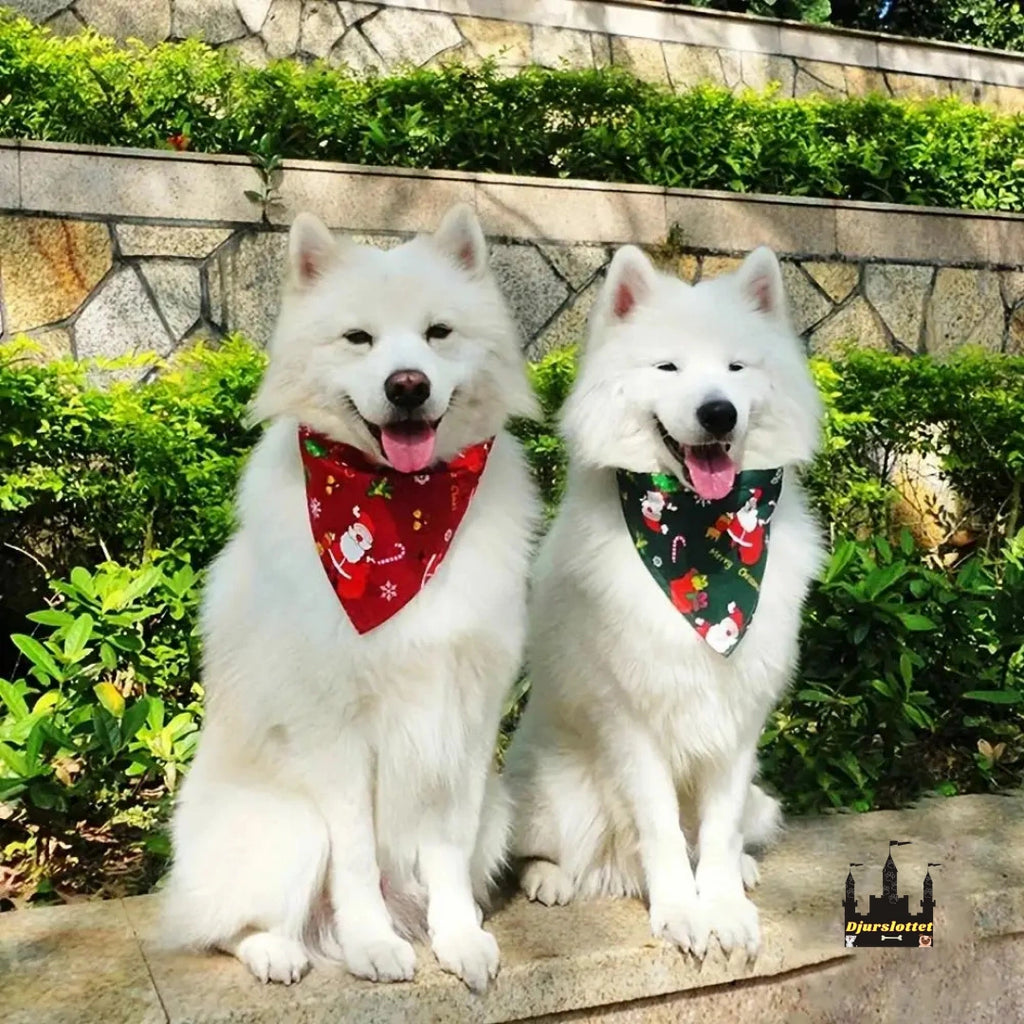 Julhalsduk till hundar Julig stil - Djurslottet