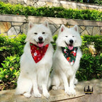 Julhalsduk till hundar Julig stil - Djurslottet