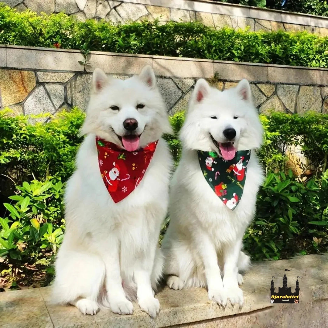 Julhalsduk till hundar Julig stil - Djurslottet