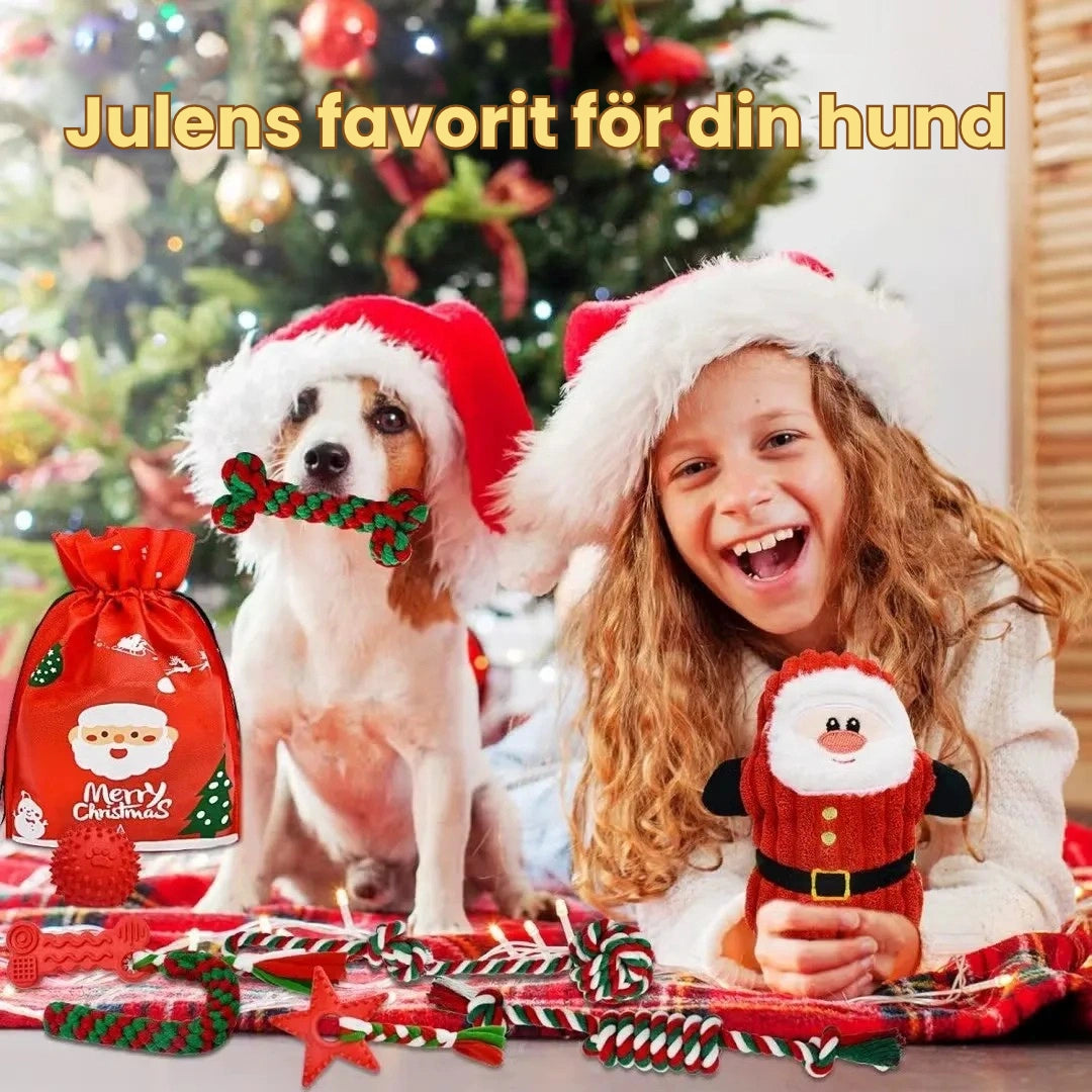Julset med 8 kampleksaker för hund Julens favorit för din hund - Djurslottet