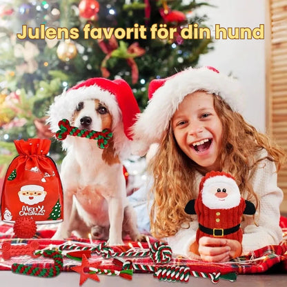 Julset med 8 kampleksaker för hund Julens favorit för din hund - Djurslottet