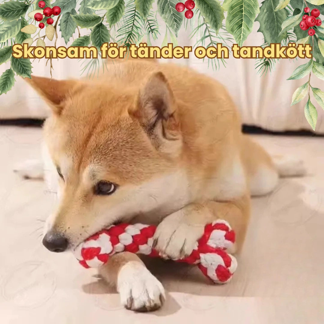 Julset med 8 kampleksaker för hund Skonsam för tänder och tandkött - Djurslottet