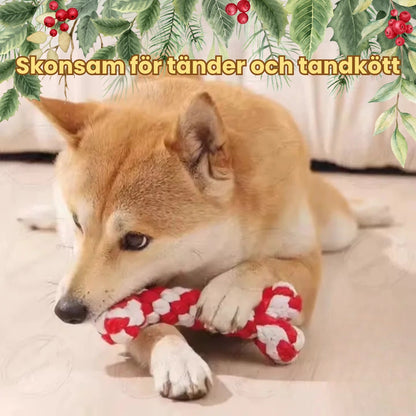 Julset med 8 kampleksaker för hund Skonsam för tänder och tandkött - Djurslottet