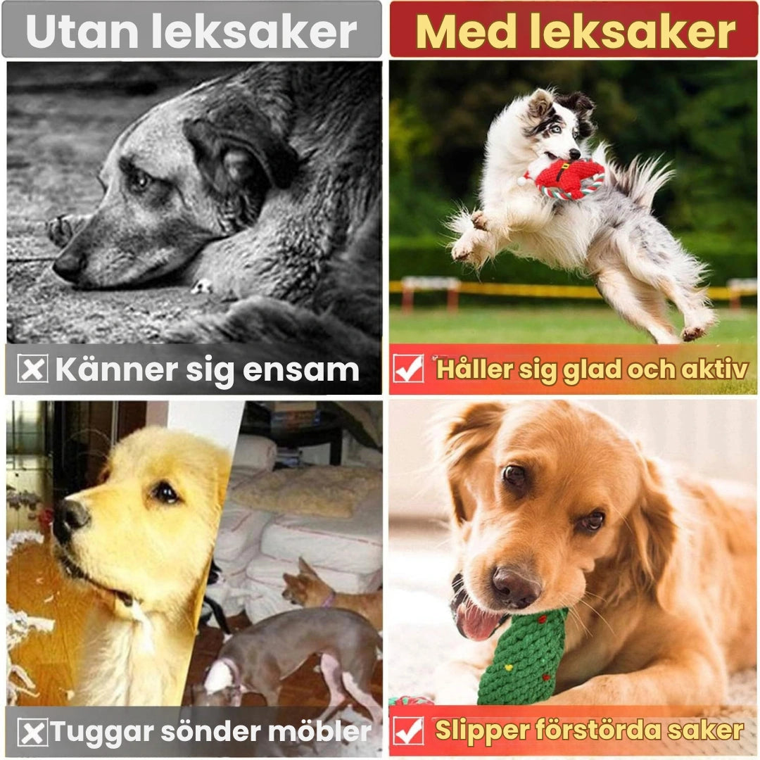 Julset med 8 kampleksaker för hund Utan leksaker vs med leksaker - Djurslottets 