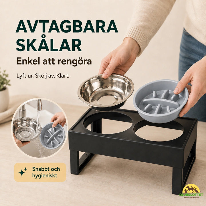 Justerbar Upphöjd Matskål avtagbara Djurslottet