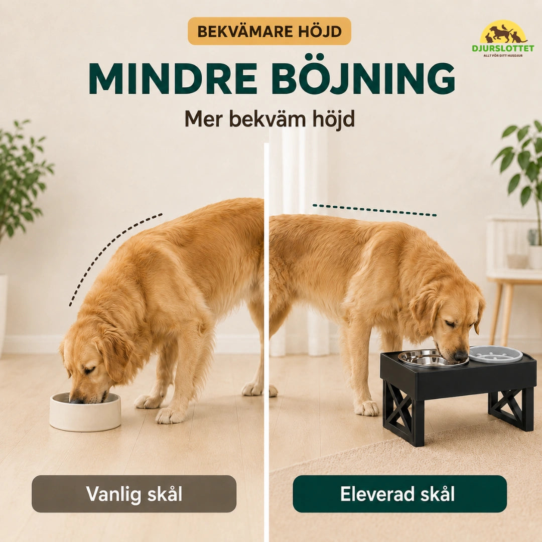 Justerbar Upphöjd Matskål mindre bojning - Djurslottet
